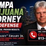 Tampa Marijuana Attorney
